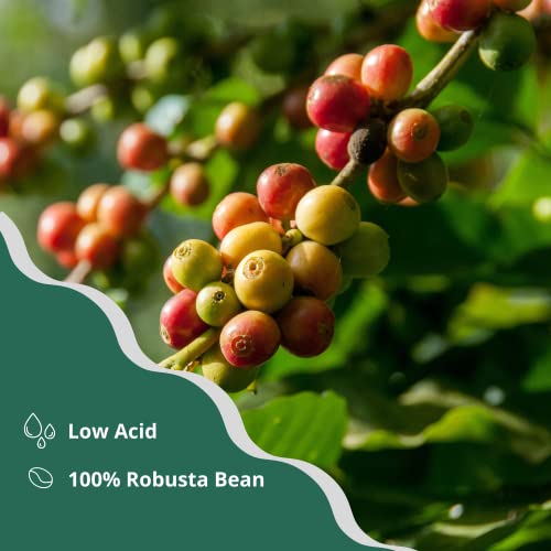 Dakoli Vietnamese Whole Bean Coffee, From The Highland Of Viet Nam, Medium - Dark Roast, Classic Roast with Notes of Chocolate & Caramel, 100% Pure Robusta Coffee, Extremely High Caffeine, Robusta's Bitter, All-Natural, No Preservatives, 12 Ounces.