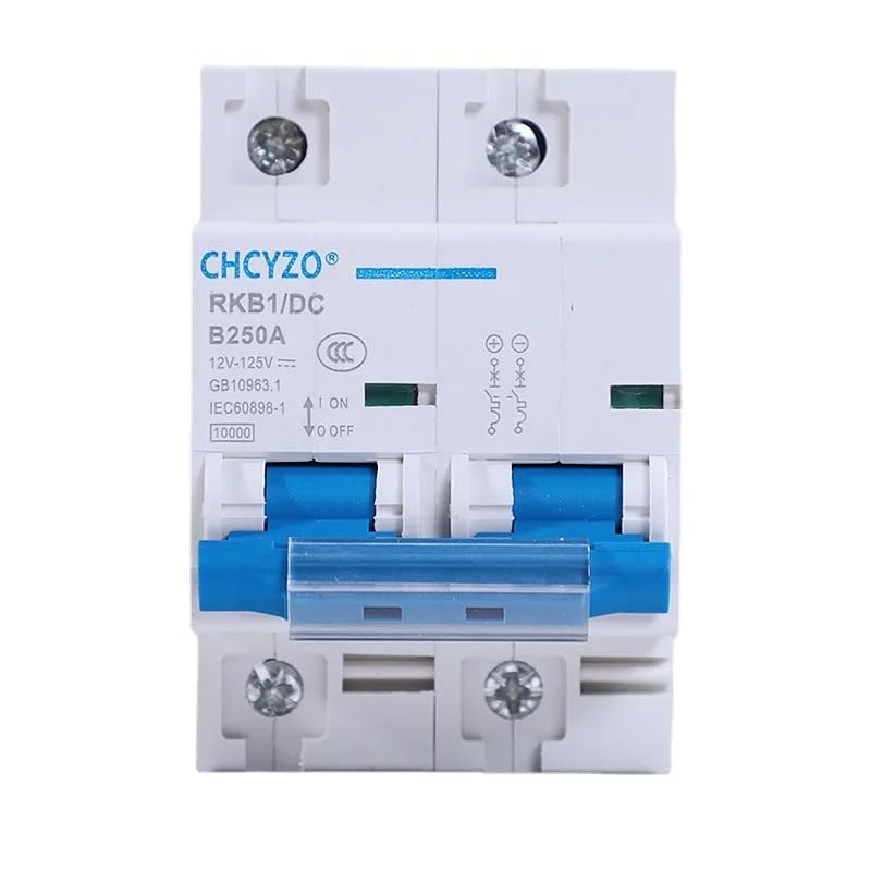 Interruttore Magnetotermico Interruttore automatico di protezione 2P 80A/100A/125A/150A/200A/250A CC 12V-125V(150A)