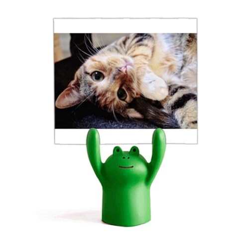 Porte-mémo chat design avec grenouille à rayures colorées