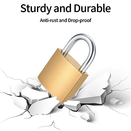 Image of 4 Pcs Small Keyed Padlocks with Keys, Pad Locks,Solid Brass Padlock with Key, Lockers Locks with Same Keys for Toolbox, Sheds, Storage Unit, Gym, Fence, Lockers Padlocks | Lockers Toolbox Sheds Storage Unit Gym Fence Pad Locks