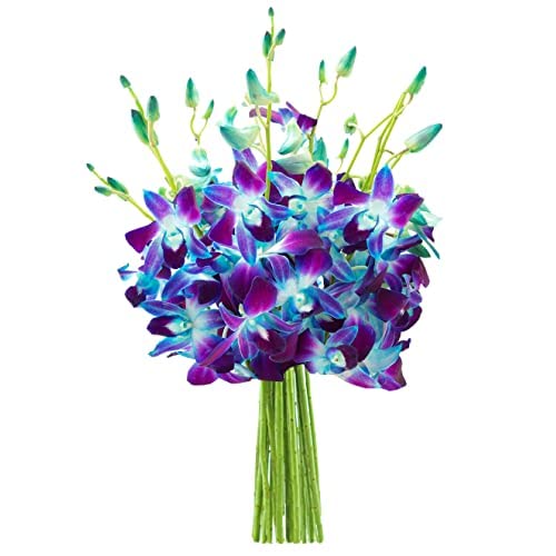 KaBloom Exotic Sapphire Orchid Bouquet