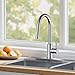 FORIOUS Chrome Kitchen Faucet with Pull Down Sprayer, High Arc Modern Classic Sink Faucet Stainless Steel with Deck Plate Fit for 1 or 3 Hole for Pot Filler Bar Farmhouse Laundry Rv