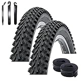  Angebot-Set / 2 x Kenda K-898 20\