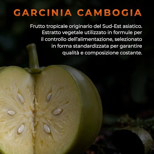 BRUCIA GRASSI POTENTI VELOCI (DIETA DIGITALE INCLUSA)- 60 Pillole Dimagranti Veloci e Efficaci Vegetali, Drenante Forte Dimagrante Anticellulite Detox, Dimagrante Forte Veloce Donna e Uomo, 100% Vegan - 2