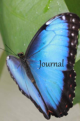 Journal: Blue Morpho Butterfly Journal with Blank Lined Pages for Writing or Creativity