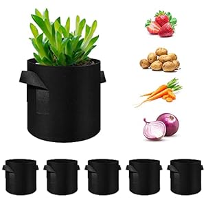 5 Pack 10 Gallon Grow Bags, Heavy Duty Thickened Nonwoven Fabric Pots with Handles, Planter Grow Bags for Vegetables/Flower/Plant/Fruits, Black