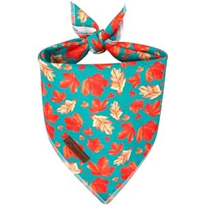 Fall Dog Bandana – Green Maple Le...