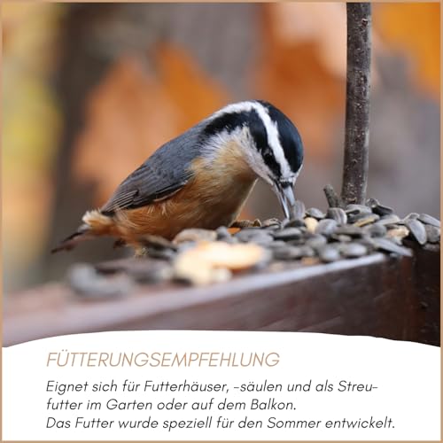 Supravit Freilandfutter für Vögel 25kg I energiereiches & proteinreiches Vogelfutter für Freilandvögel & Wildvögel I ideal zur Fütterung Aller freilebenden Vogel-Arten im Sommer geeignet