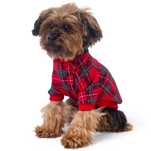 Ropa térmica para mascotas Rocky ideal para paseos invernales con perros XXS 2