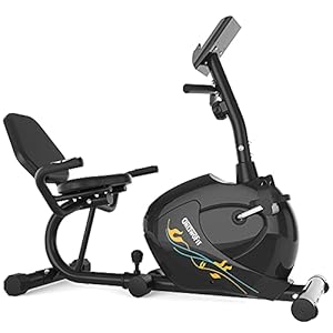 ONETWOFIT Recumbent Exercise Bike for Seniors and Adults, Indoor Stationary Bikes w 8 Level Resistance, LCD Monitor, Adjustable Seat, Cycling Fitness Equipment for Home Cardio Training 300 LB Capacity