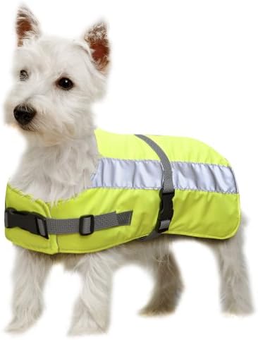 hi vis dog jacket