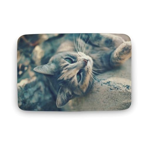 L   oX}bg z/唻 փ}bg  O   傫 ~ Aj LN^[ @}bg   ʏ