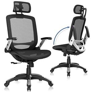 GABRYLLY Ergonomic Office Chair, Hi...