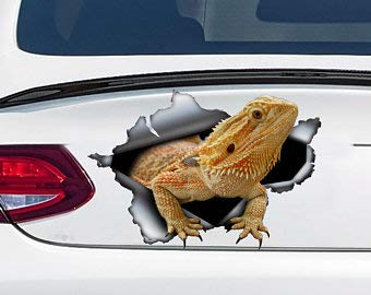 Bearded Dragon car Decal, Bearded Dragon car Sticker, pet Decal Vinyl Decal Sticker for Cars, Trucks, Windows, Walls, Laptops 11"