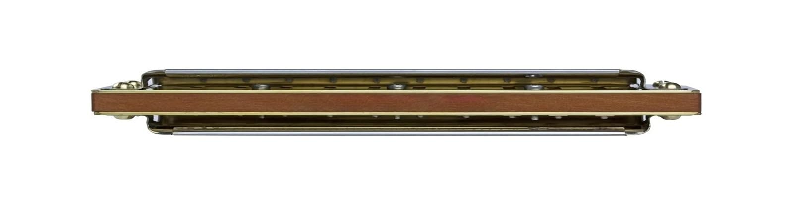 harmonijka Harmonijka Profesjonalna Harmonijka Ustny Organ Instrumenty Muzyczne Harmonijka