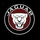 2PCS Car Door Welcome Lights for Jaguar XFL 2020 2021 2022 2023 2024 2025 LED Lights Car Pedal Pathway Lights Car Door Step Courtesy Projector Lamp Accessories,D-XFL 2021-2025