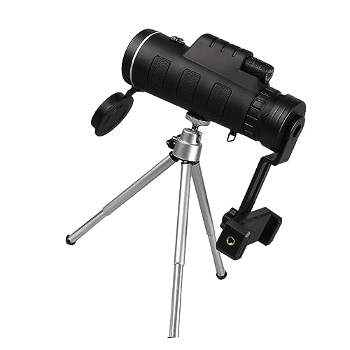 Ipetboom Ԏ͖] A~Or X}zNbvt Y L