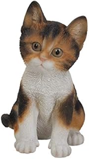 Vivid Arts Pet Pals White, Brown and Black Kitten | Highly Detailed Frost Resistant Resin Home or Garden Decoration | PP-KT31-F