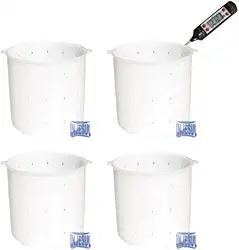 Kit 4 Formas de Queijo Minas Frescal Especial 500g + termômetro