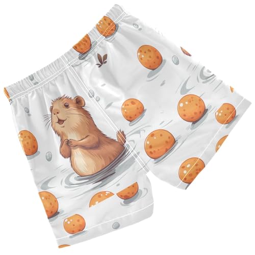 Pigsaly Boys' Swim Board Shorts Cute Capybara Orange Boy's Swim Trunks Kids Swimwear 3T2