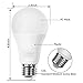 LED Dusk to Dawn Bulb, A19 Frosted E26 Auto On/Off Light Bulb Outdoor, Daylight White 6000K 2-Pack