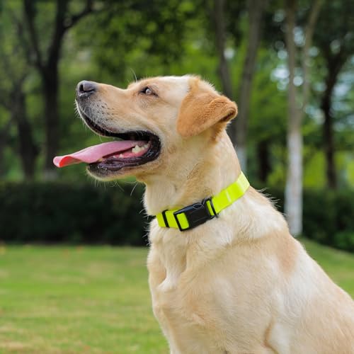 Image of Waterproof Dog Collar, Easy to Clean Rubber Dog Collars with Quick Release Buckle Fits Small Medium or Large Dogs (Yellow, S < 9.5-14.1 inch)