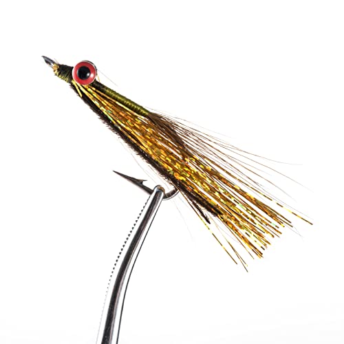 Goture 6Pcs Clouser Deep Minnow Fishing Flies Streamer Fly Fishing Lure Bass Flies Hook Size 4#, 2#, 1/0, 2/0 #TOP1