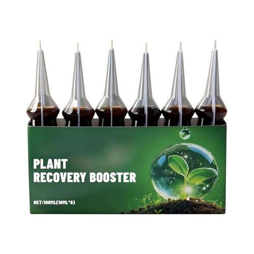 lisutupode t̐A엿,t̘A엿XeBbN 6{, ϗtA h{ XpCN - Op   Ő ϗtA 