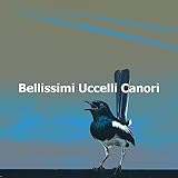 Relaxing Bird Song