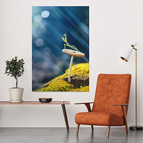 Praying Mantis On Mushroom Insects Canvas Poster Bedroom Decor Sports Landscape Office Room Decor Gift,Canvas Poster Wall Art Decor Print Picture Paintings For Living Room Bedroom Decoration 12X18Inch #TOP4