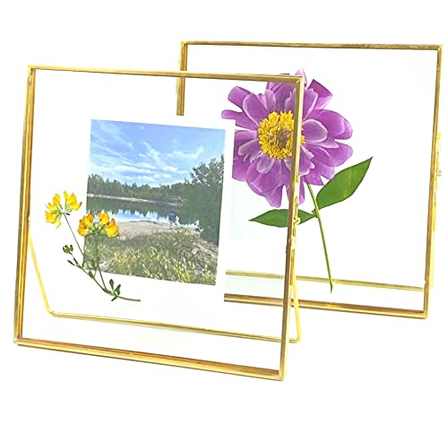 Double Glass Frame for Pressed Flowers, Leaf and Artwork - Gold 6x6 Standing Square Metal Picture Frames, Tabletop Clear Floating Pressed Glass Frame, Home Decor Photo Display, Set of 2 Pressed Flower Frames with Stand