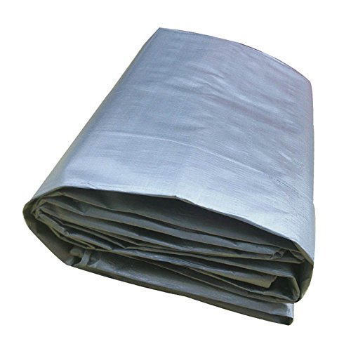 Preisvergleich Produktbild CHAOXIANG Plane Gewebeplane Verdicken Wasserdicht Kältebeständig Anti-Sonne Verschleißfest Feuchtigkeitsfest Antikorrosion Antialterung PE Silber, 300 G / M2, 14 Größen (Farbe : Silber, größe : 2x4m)