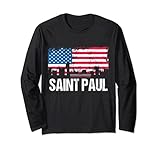 US Flag and City Skyline designs - Saint Paul