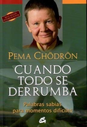 Cuando todo se derrumba [Spanish] 9871201990 Book Cover