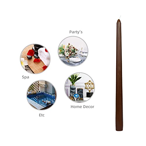Zest Candle 12-Piece Taper Candles, 12-Inch, Brown #TOP7