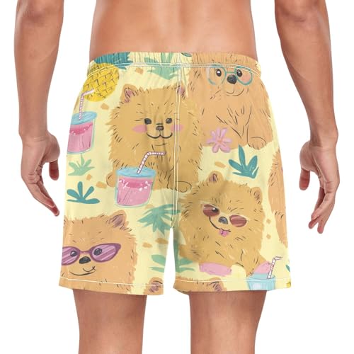 Pomeranian and Pineapple Men's Swim Trunks with Liner Quick Dry Beach Shorts Swimwear Bathing Suit S-XXL2