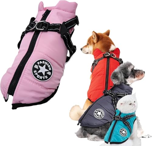 t@[[LO EB^[hbOWPbgin[lXtj10FWJŁAgKB^A^A^ɍœKłB