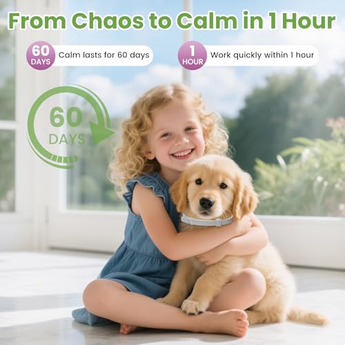 Image of 6 Pack Calming Collar for Dogs, Dog Calming for Dogs Pheromones Collar Stress and Anxiety Relief for 60 Days Gray