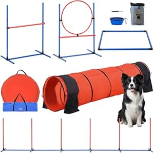 Vevor HC-ZAG08 Agility-Set für Hunde 5-teilig