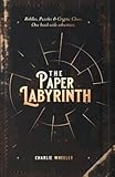 The Paper Labyrinth: A Book-wide Puzzle Solving Adventure