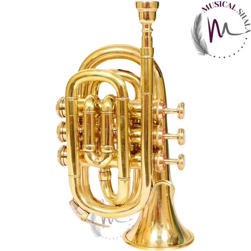 Musical Shala Bb Pocket Trumpet Golden Brass Musical Instruments Best For Begineer, Intermediate Or Advanced With Free Hard Case, Mouthpiece, Spring Set, Pair Of Gloves (Gold) #TOP1
