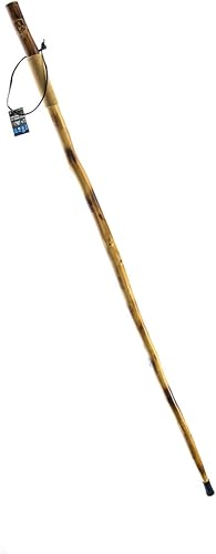 Miniatura 3 de Bastón SE. Bastón de madera natural con grabado de oso pardo WS626-55RB