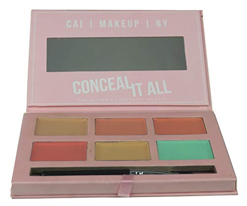 CAI Cosmetics New York The Ultimate Concealer Palette with Mirror and Brush, 6 Colors