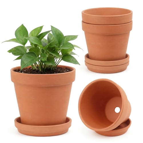 Riseuvo 6 Inch Terracotta Pots with Saucers – 4 Pack Medium Clay Flower Pots with Drainage...