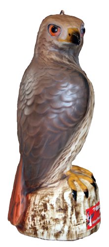 Bird B Gone MMRTH1 Hawk Decoy