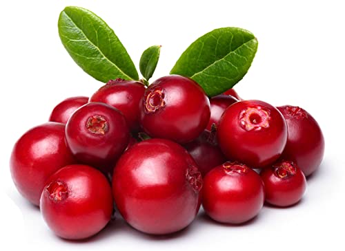 Herbal Plus, Imagen adicional