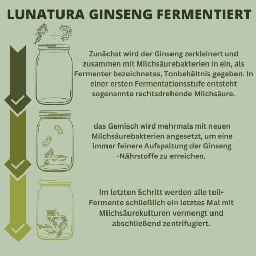 Lunatura - Ginseng fermentiert (60 stück (1er Pack)) – Bild 4