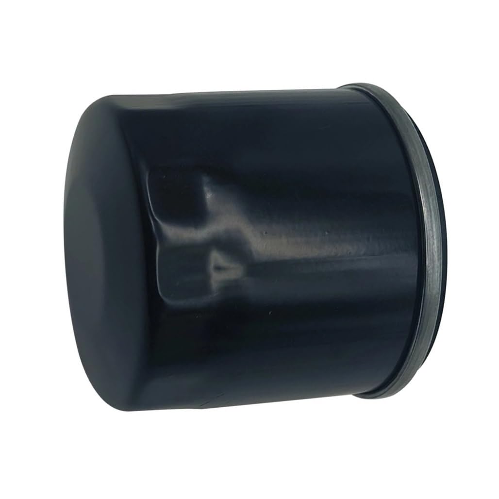 Filtro de aceite Hisun FORGE 500 para rutas todoterreno de montaña 5