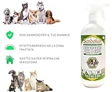 Sandokan B0CQ8QLMR6 lato 4