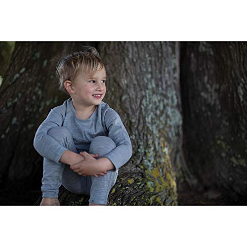 Icebreaker Boys' Kids 200 Oasis Leggings2